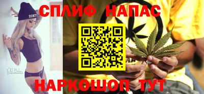 Альфа ПВП Краснознаменск