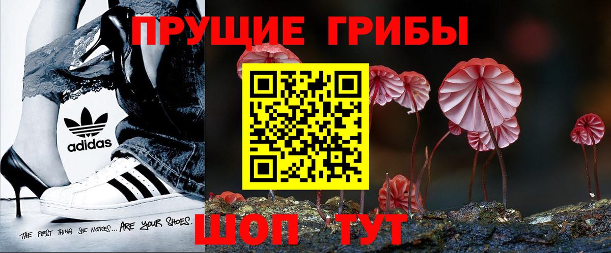 Галлюциногенные грибы Cubensis Чебаркуль
