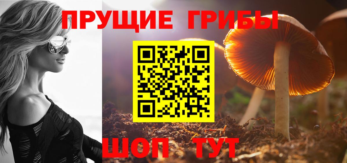 Псилоцибиновые грибы Magic Shrooms  Галлюциногенные грибы ЛСД  Вход с VPN  Чебаркуль 